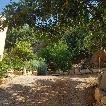 Villa Ikarus Triopetra Exterior photo